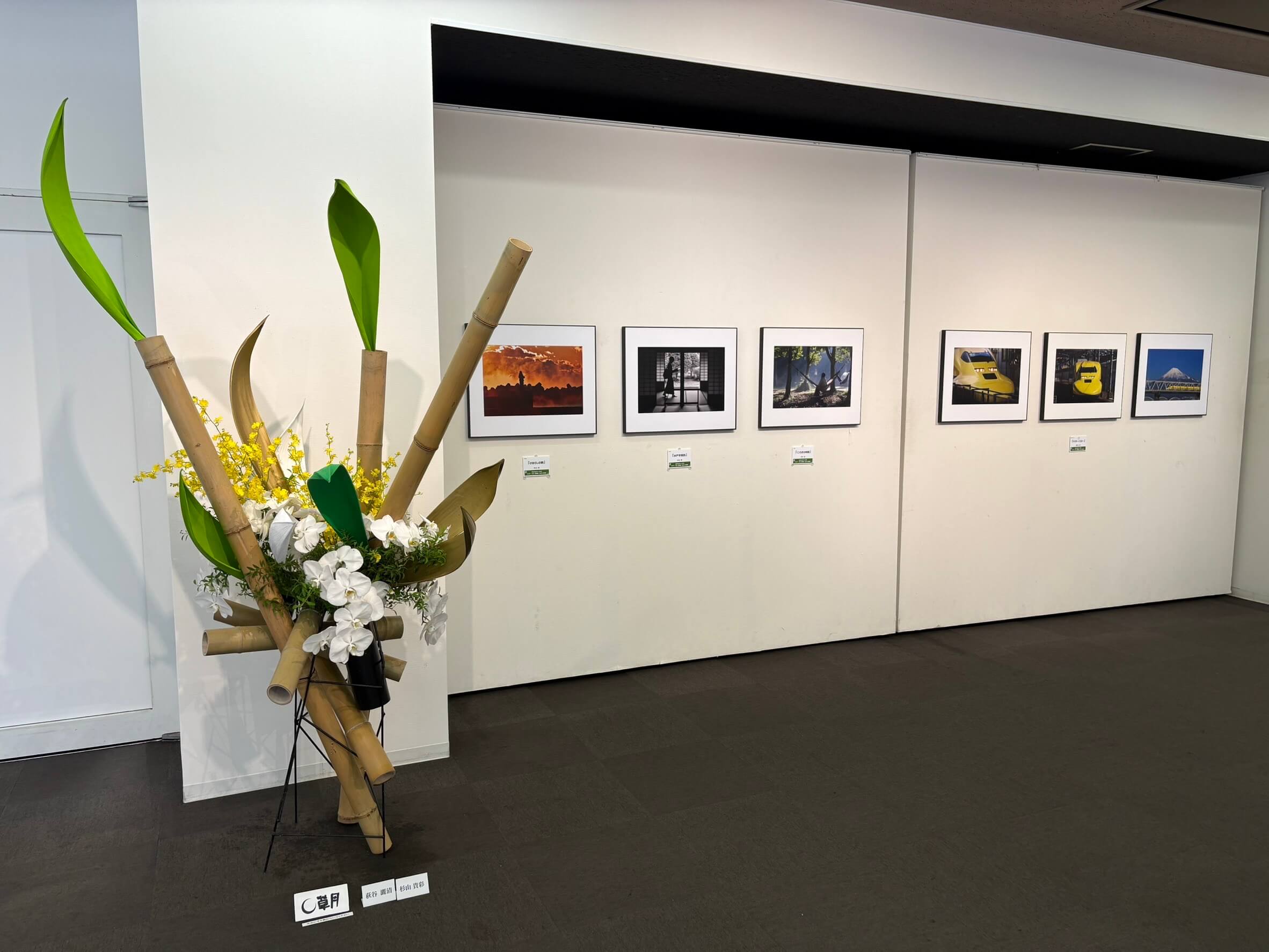 最近の講師作品