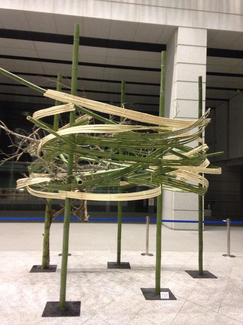 最近の講師作品