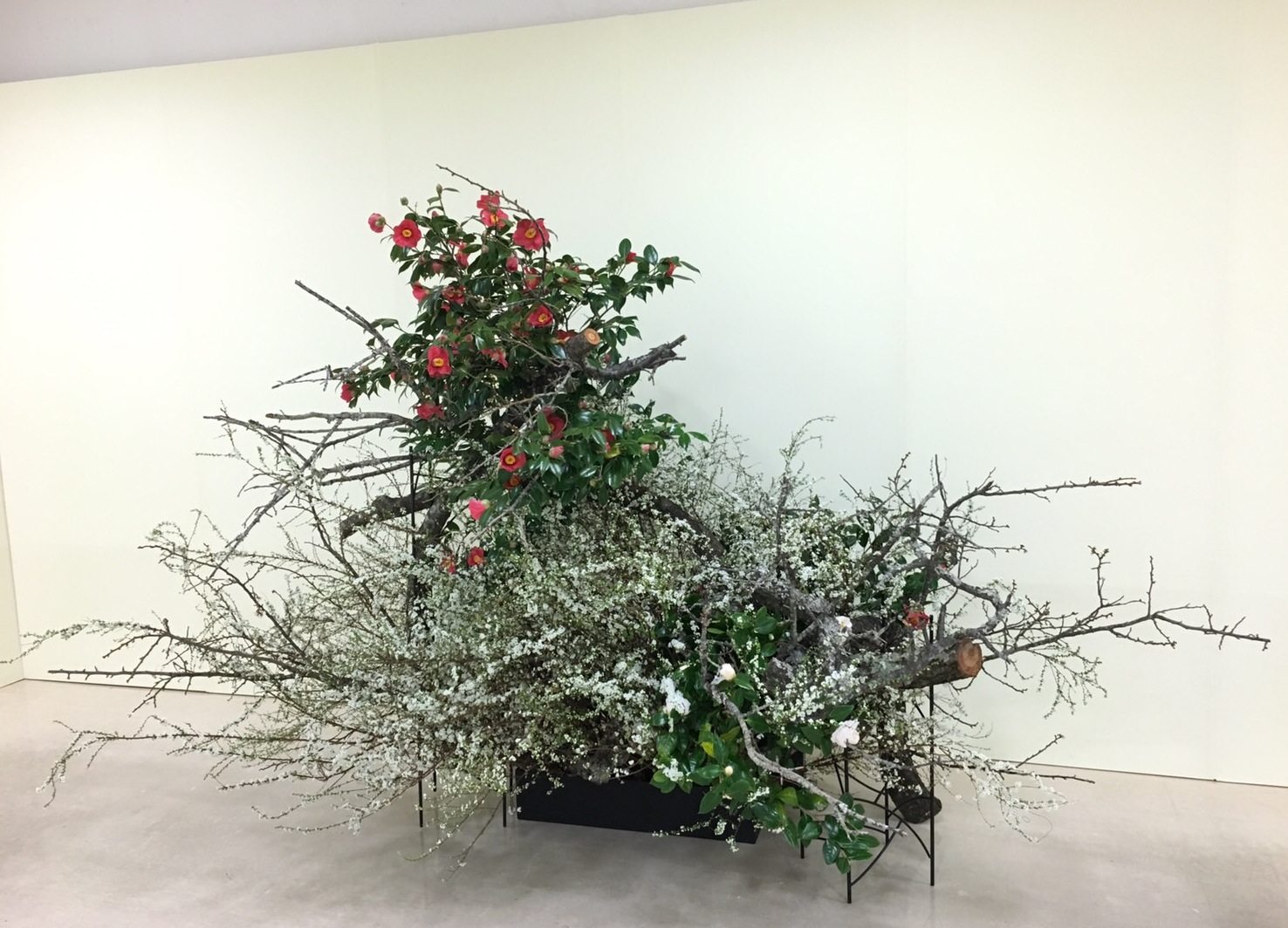 最近の講師作品