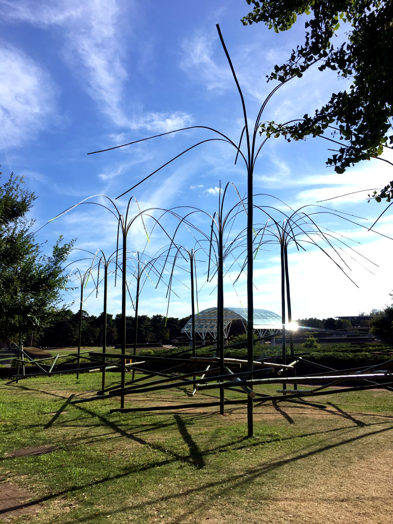 最近の講師作品