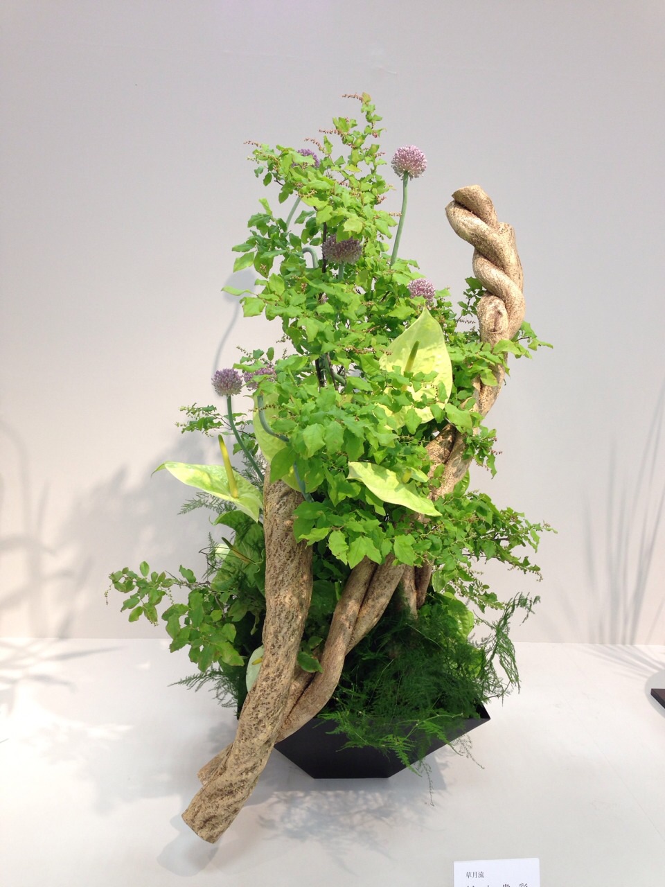 最近の講師作品