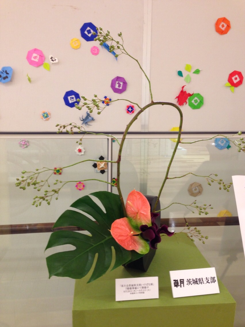 最近の講師作品