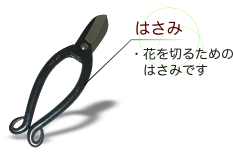 はさみ:花を切るためのハサミです