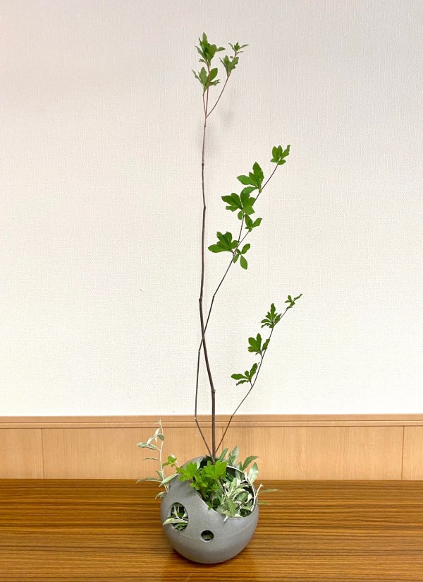 いけばな作品